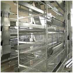 Manufacturers Exporters and Wholesale Suppliers of Battery Cages Mohali Punjab